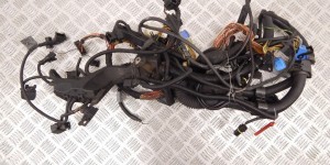 Проводка двигателя BMW X5-series (E53) 12 51 7 513 548
