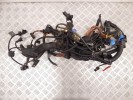 Проводка двигателя BMW X5-series (E53) 12 51 7 513 548