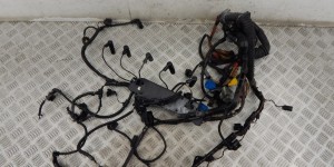 Проводка двигателя BMW 5-series (E60/61) 12 51 7 798 045 Проводка двигателя BMW 5-series (E60/61) 12 51 7 798 045