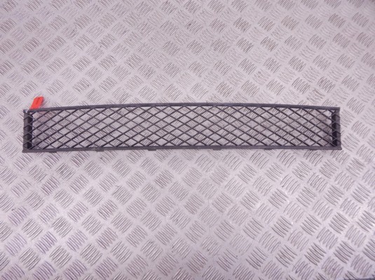 Заглушка (решетка) в бампер передний BMW 7-series (F01/02) 51 11 7 183 870