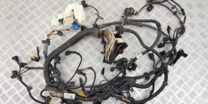 Проводка двигателя BMW 5-series (F10/11) 12 51 8 574 495