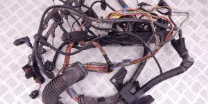 Проводка двигателя BMW X5-series (E53) 12 51 7 796 819