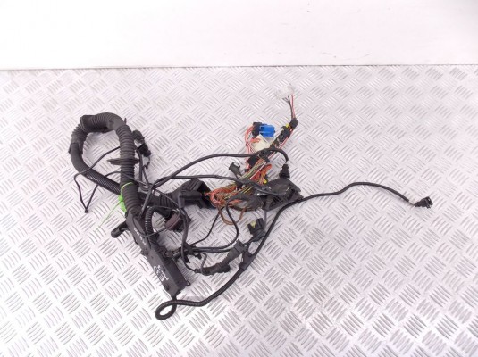 Проводка двигателя BMW 5-series (E39) 12 51 7 785 650