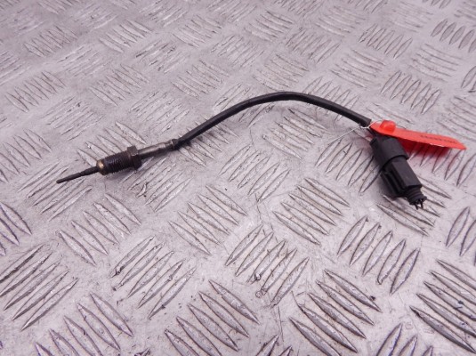 Датчик температуры выхлопных газов BMW 5-series (E60/61) 13 62 7 795 166