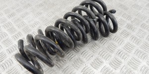 Пружина задняя BMW X1-series (E84) Пружина задняя BMW X1-series (E84)