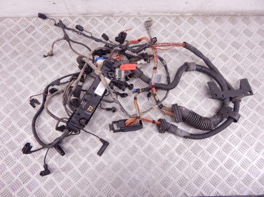 Проводка двигателя BMW X5-series (E53) 12 51 7 796 818