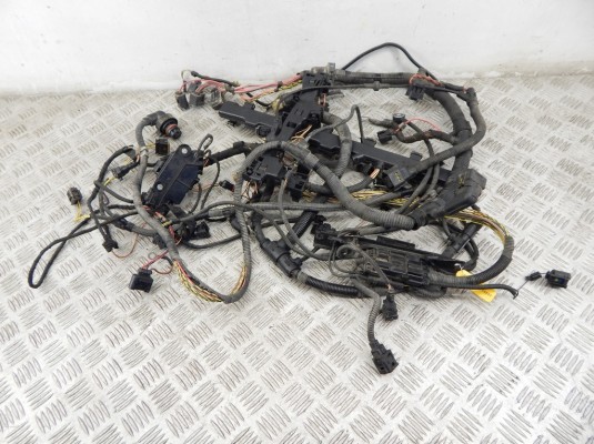 Проводка двигателя BMW 7-series (F01/02) 12 51 7 594 751