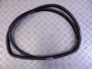Уплотнитель BMW X5-series (E53) 51 72 7 025 580