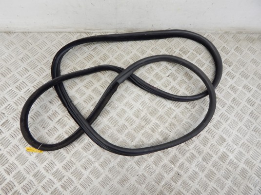 Уплотнитель BMW X5-series (E70) 7207221