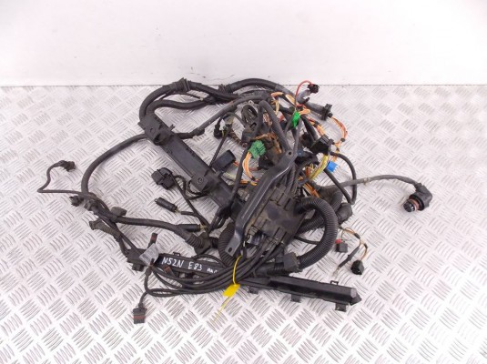 Проводка двигателя BMW X3-series (E83) 12 51 3 448 539
