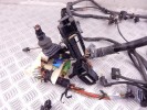 Проводка двигателя BMW 3-series (F30/31) 12 51 8 507 896