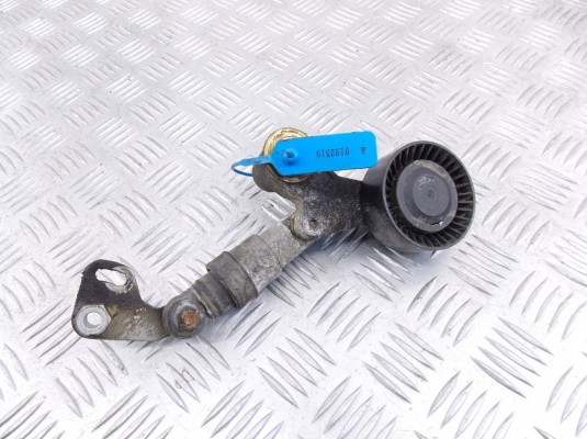 Натяжитель BMW X5-series (E53) 1433502