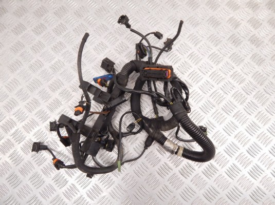 Проводка двигателя SMART Fortwo W450 (1998-2007)