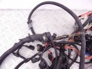 Проводка двигателя BMW 3-series (E46) 12 51 7 540 370