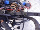 Проводка двигателя BMW X5-series (E53) 12 51 7 503 611