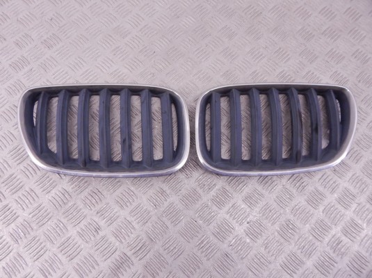 Решетка радиатора BMW X5-series (E53) 51 13 7 113 734