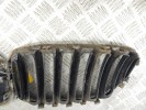 Решетка радиатора BMW X5-series (E53) 51 13 7 113 734