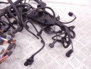 Проводка двигателя BMW X5-series (E70) 12 51 7 810 118