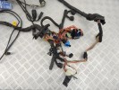 Проводка двигателя BMW 5-series (E39) 12 51 1 439 183
