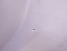 Обшивка двери задней левой (дверная карта) BMW 3-series (E90/91/92) 51 42 7 217 579