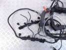 Проводка двигателя BMW X5-series (E53) 12 51 7 540 449