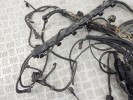 Проводка двигателя BMW 3-series (E90/91/92) 12 51 7 563 101