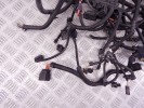 Проводка двигателя BMW 5-series (F10/11) 12 51 7 619 144