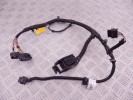 Проводка двигателя BMW i3-series (I01) 12 51 7 636 396