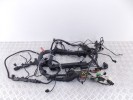 Проводка двигателя BMW X5-series (E53) 12 51 7 540 449