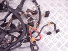 Проводка двигателя BMW 5-series (F10/11) 12 51 7 619 144