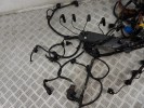 Проводка двигателя BMW 5-series (E60/61) 12 51 7 798 045