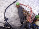 Проводка двигателя BMW X3-series (F25) 12 51 8 516 262