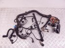 Проводка двигателя BMW 5-series (E39) 12 51 1 744 589