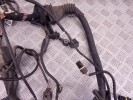 Проводка двигателя BMW 5-series (E39) 12 51 1 439 177