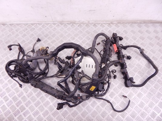 Проводка двигателя BMW 7-series (F01/02) 12 51 7 614 896 Проводка двигателя BMW 7-series (F01/02) 12 51 7 614 896