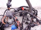 Проводка двигателя BMW 1-series (E87) 12 51 7 796 828