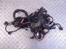 Проводка двигателя BMW X5-series (E53) 12 53 7 516 873