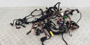 Проводка двигателя BMW 3-series (E90/91/92) 12 51 7 802 173