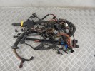 Проводка двигателя BMW 5-series (E60/61) 12 51 7 529 696