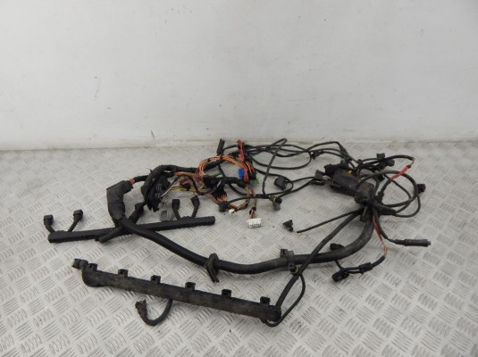 Проводка двигателя BMW 5-series (E39) 12 51 7 516 997