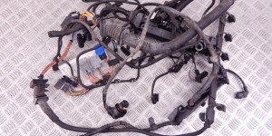 Проводка двигателя BMW X5-series (E70) 12 51 7 810 118 Проводка двигателя BMW X5-series (E70) 12 51 7 810 118