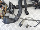 Проводка двигателя BMW 5-series (E39) 12 51 1 744 589