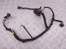 Проводка двигателя BMW i3-series (I01) 12 51 7 636 396