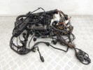 Проводка двигателя BMW 7-series (E65/66) 12 51 7 794 185