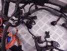 Проводка двигателя BMW 3-series (E46) 12 51 7 540 370