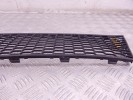 Заглушка (решетка) в бампер передний BMW 7-series (F01/02) 51 11 7 898 167