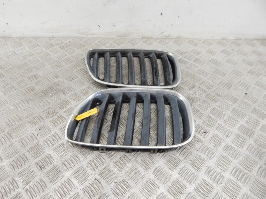 Решетка радиатора BMW X5-series (E53) 51 13 7 113 734