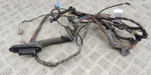 Проводка двери задней правой BMW X5-series (E70) 61 12 9 207 859 Проводка двери задней правой BMW X5-series (E70) 61 12 9 207 859