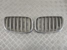 Решетка радиатора BMW X5-series (E53) 51 13 7 113 734