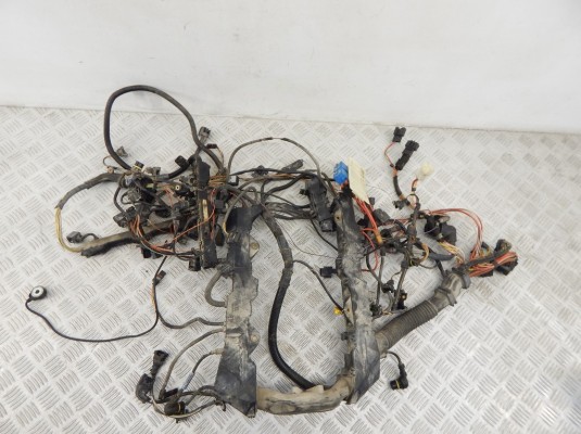 Проводка двигателя BMW X5-series (E70) 12 51 7 570 407